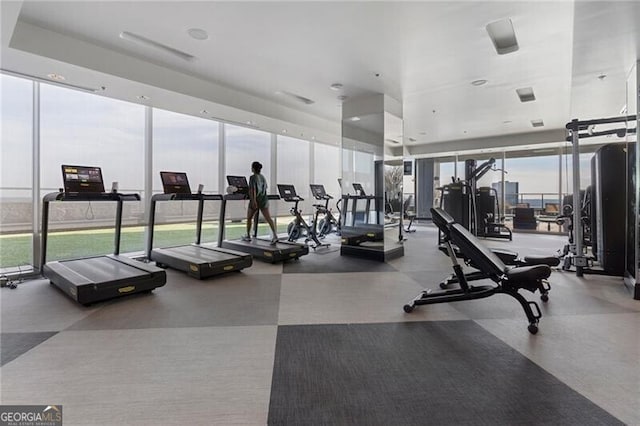 exercise room featuring a wall of windows and a healthy amount of sunlight