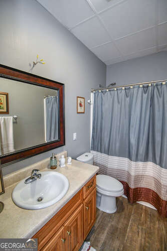 full bathroom with a drop ceiling, vanity, toilet, and wood finished floors