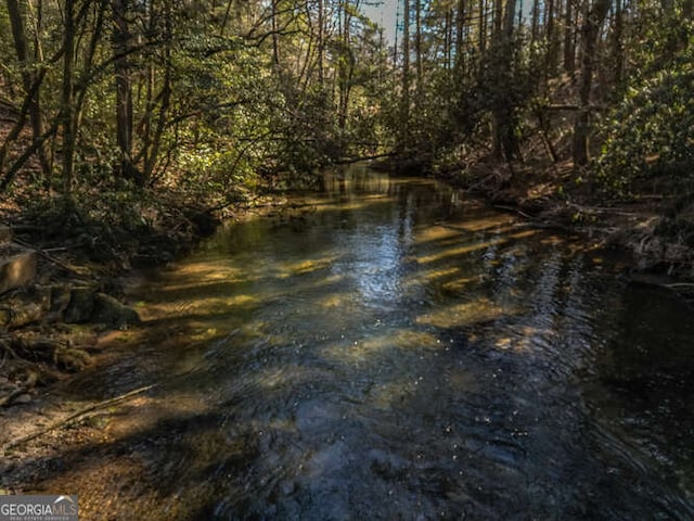 property view of water with a forest view