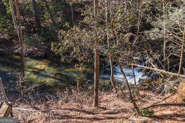 view of nature with a water view