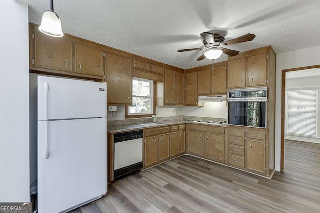 kitchen featuring decorative light fixtures, light wood-type flooring, white appliances, a textured ceiling, and sink