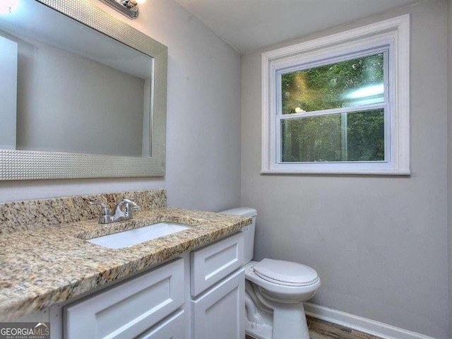 bathroom featuring wood-type flooring, toilet, and vanity