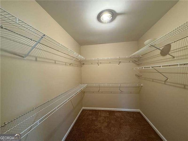 walk in closet featuring carpet flooring