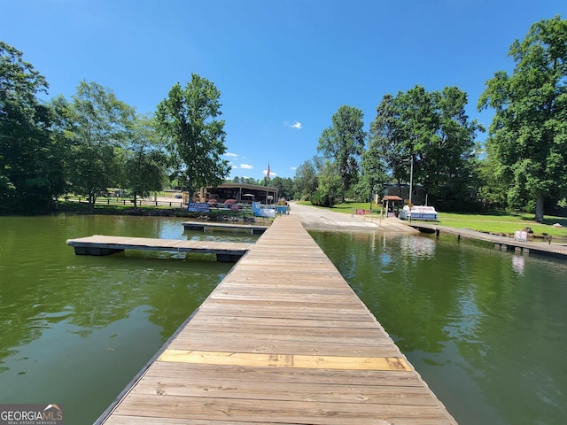 dock area with a water view