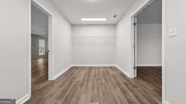 spacious closet featuring wood-type flooring