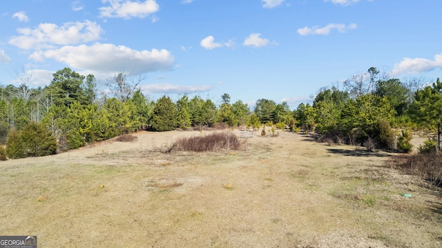 view of local wilderness with a rural view