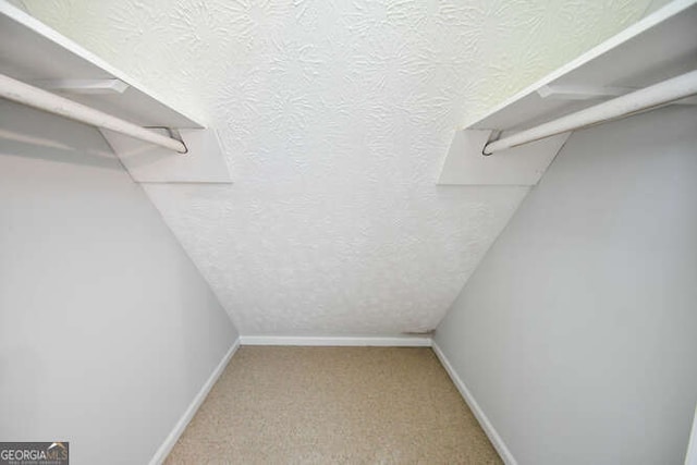 spacious closet featuring carpet floors