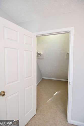 walk in closet with light colored carpet and lofted ceiling