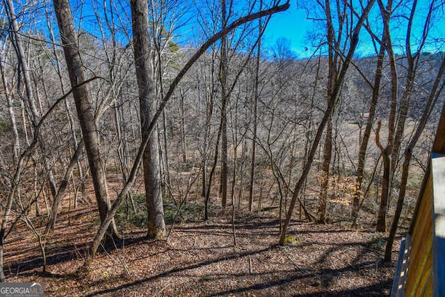 view of local wilderness