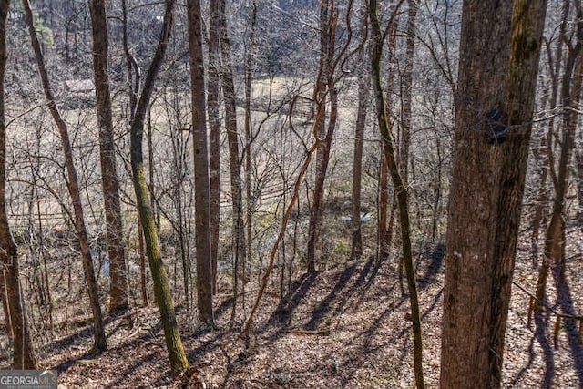 view of local wilderness