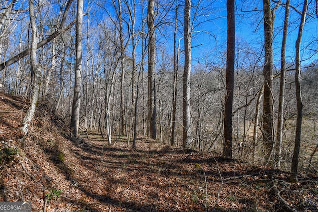 view of local wilderness