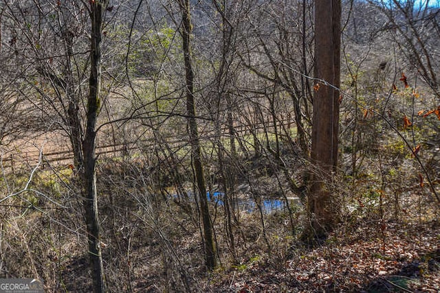 view of local wilderness