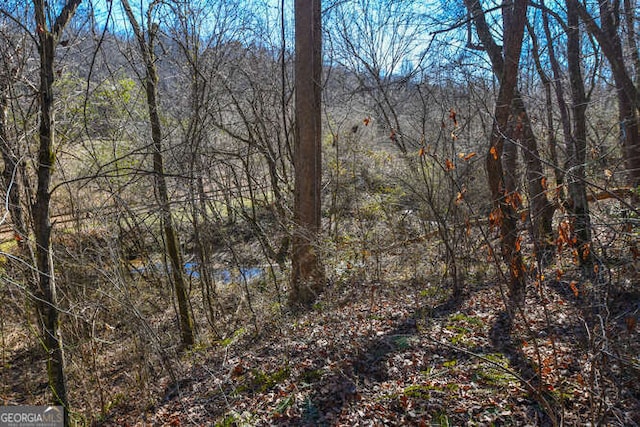 view of local wilderness