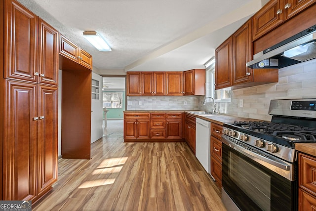 kitchen with sink, gas stove, light hardwood / wood-style flooring, dishwasher, and a healthy amount of sunlight