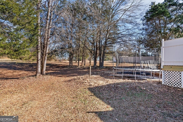 view of yard featuring a trampoline