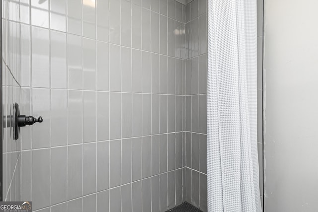 interior details featuring curtained shower