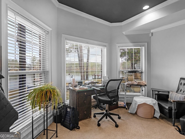 office space featuring light carpet and ornamental molding