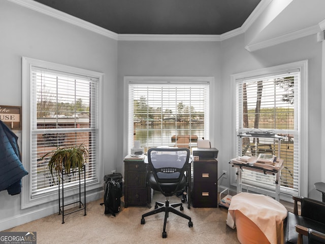 office area with crown molding and carpet flooring