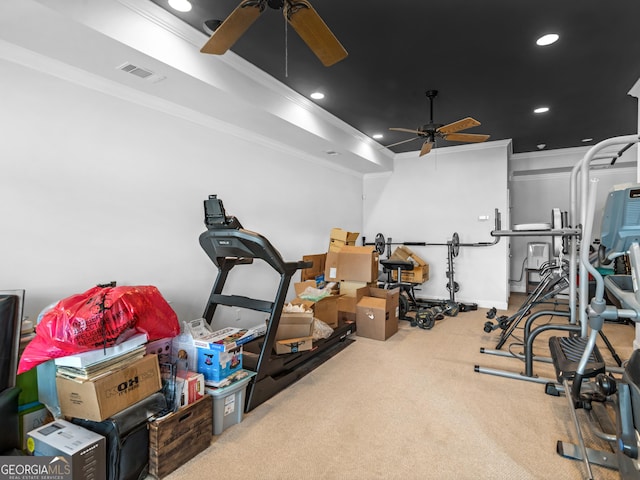 exercise room with ceiling fan, carpet flooring, and crown molding