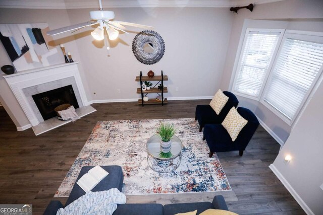 living area featuring dark wood-type flooring, baseboards, and a premium fireplace