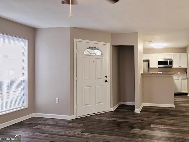 entryway with dark hardwood / wood-style flooring