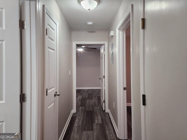 hall with dark hardwood / wood-style floors