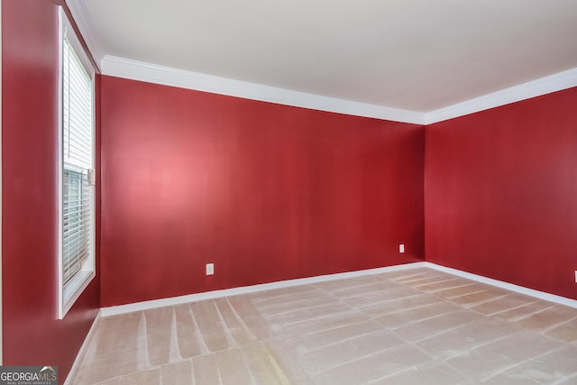 carpeted spare room featuring ornamental molding