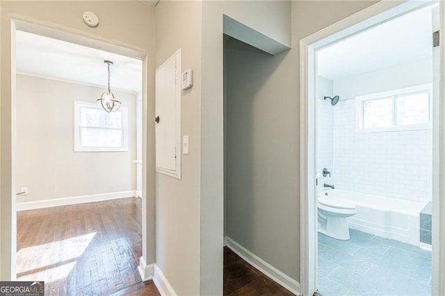 hallway featuring hardwood / wood-style floors and plenty of natural light