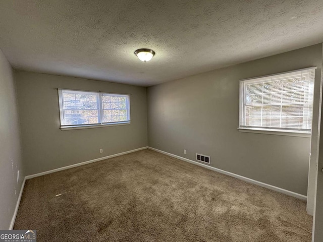 empty room featuring carpet, a textured ceiling, and a healthy amount of sunlight