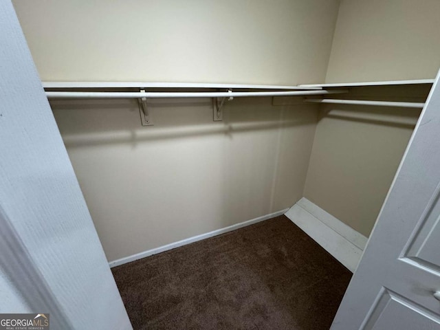 walk in closet featuring carpet