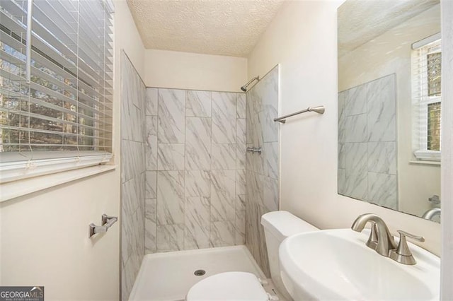 bathroom with sink, a textured ceiling, toilet, and a wealth of natural light