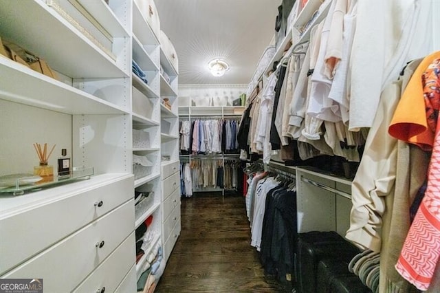 walk in closet featuring dark wood-type flooring