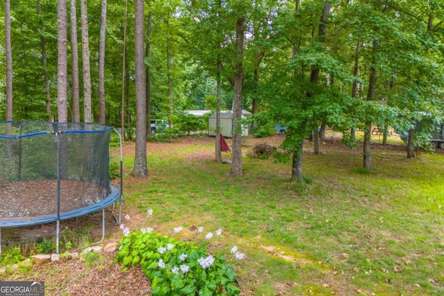 view of yard with a trampoline