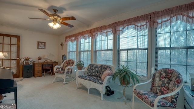 living area with ceiling fan and carpet