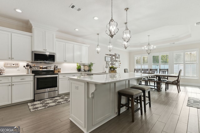 kitchen with white cabinets, a tray ceiling, stainless steel appliances, and a kitchen island