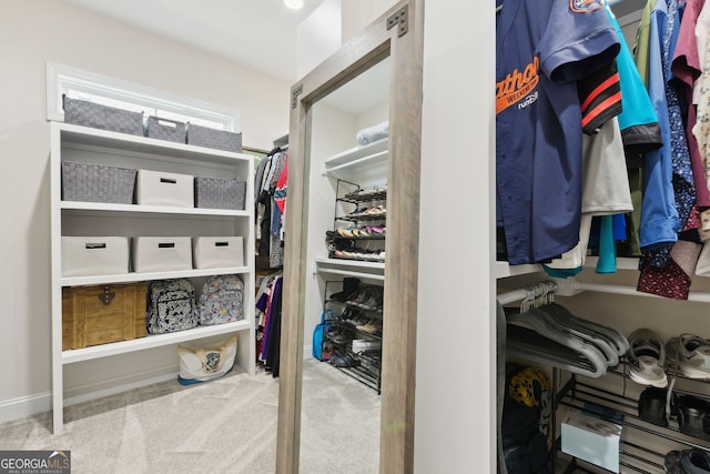 walk in closet with carpet floors