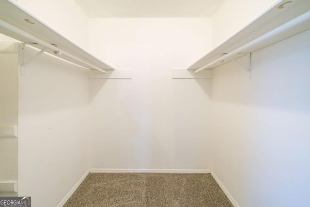 spacious closet featuring carpet floors