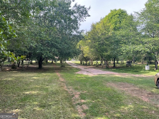 view of yard featuring a rural view