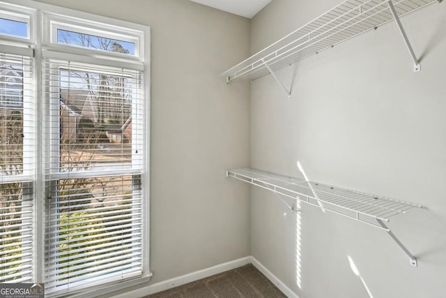 walk in closet featuring carpet flooring