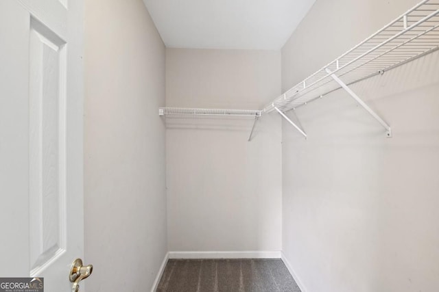 walk in closet featuring carpet floors