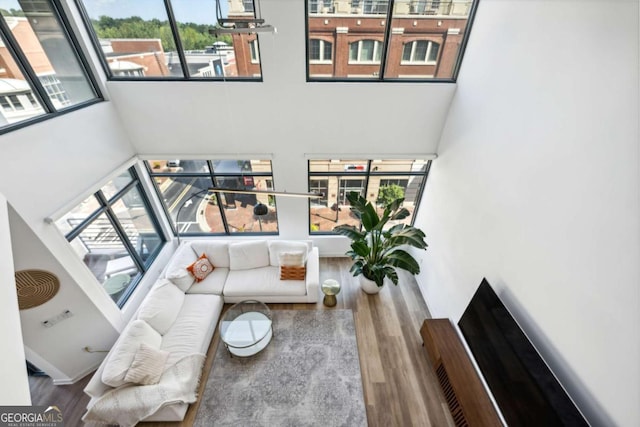 living room featuring a towering ceiling and hardwood / wood-style floors