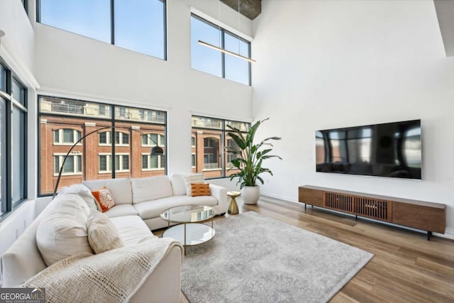 living room featuring a high ceiling and wood-type flooring