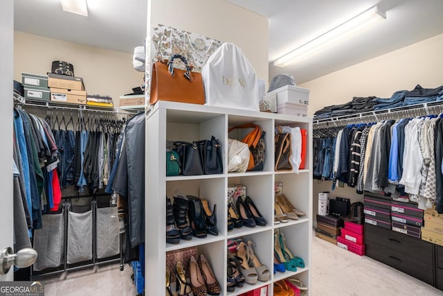 walk in closet featuring carpet flooring