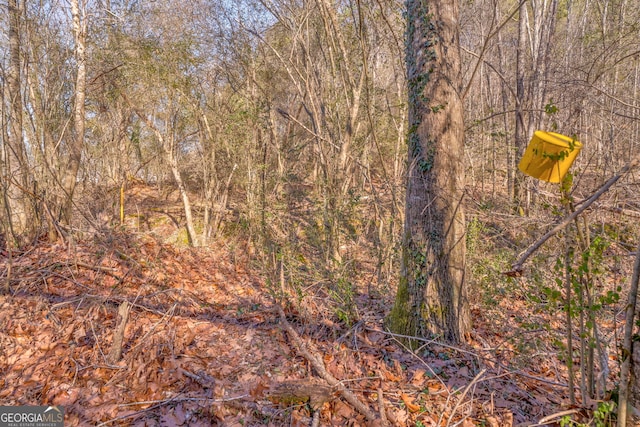 view of local wilderness