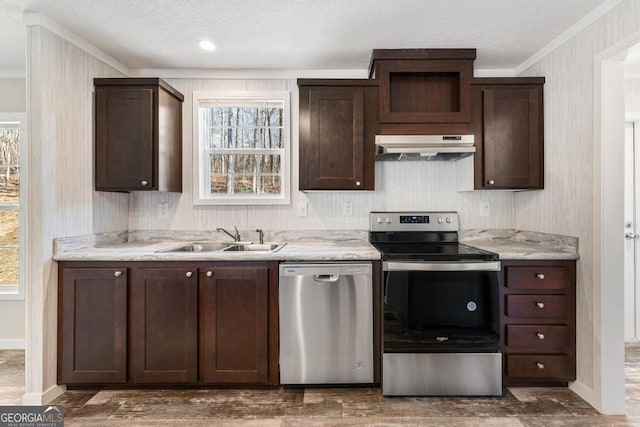 kitchen featuring appliances with stainless steel finishes, sink, dark hardwood / wood-style flooring, and dark brown cabinetry