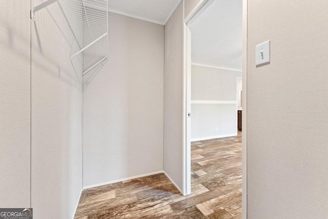 spacious closet featuring hardwood / wood-style floors