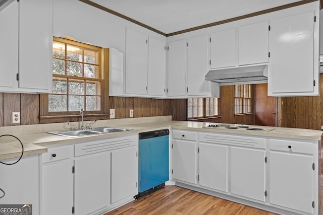 kitchen featuring white cabinetry, sink, white stovetop, and stainless steel dishwasher