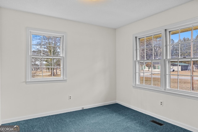 carpeted empty room with a healthy amount of sunlight