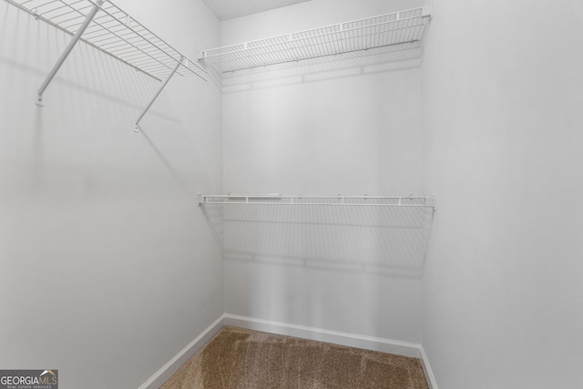 walk in closet featuring carpet floors