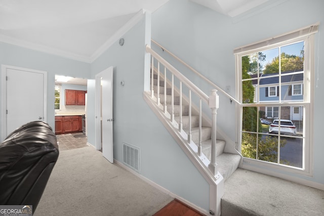 staircase featuring crown molding, carpet, and a wealth of natural light